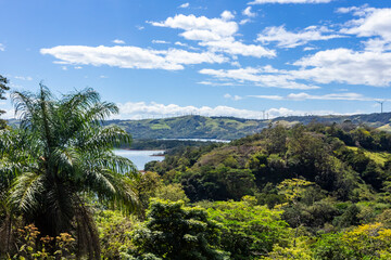Rainforest on the Lake Arenal coast, Costa Rica
