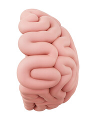 Human brain right hemisphere 3d illustration. Pink matte clay mind side view for creativity, imagination, intuition, art and mental health. Isolated anatomical cerebrum icon for artistic innovation.