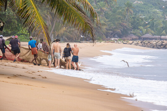 Local fishermen and tourists pull a net of fish from the ocean onto the beach. Fishing and recreation in Sri Lanka.