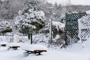雪に包まれたぎふワールドローズガーデンのベンチと庭園の冬景色
