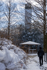 雪に包まれたぎふワールドローズガーデンの東屋と池の冬景色