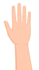 Fototapeta premium Illustration of an outstretched human hand, palm forward, showing fingers and wrist against a white background
