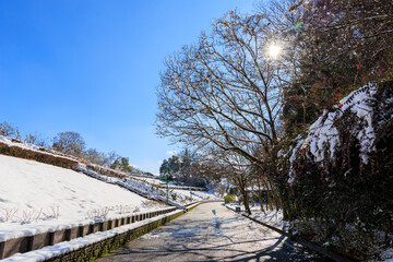 青空と陽光に包まれた雪の園路 ぎふワールドローズガーデンの冬景色