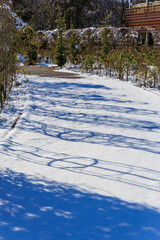 青空の下で雪に覆われたぎふワールドローズガーデンの園路と冬景色