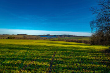Naklejka premium landscape with green field and blue sky