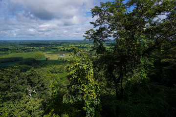 Obraz premium Native unspoiled landscape showing native trees surviving in agricultural dominated landscape environmental issues viewed from mountain top