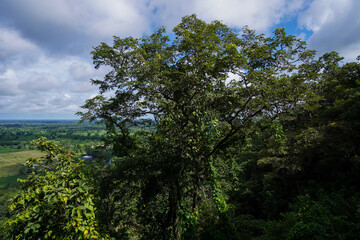 Fototapeta premium Native unspoiled landscape showing native trees surviving in agricultural dominated landscape environmental issues viewed from mountain top