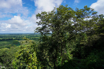 Obraz premium Native unspoiled landscape showing native trees surviving in agricultural dominated landscape environmental issues viewed from mountain top