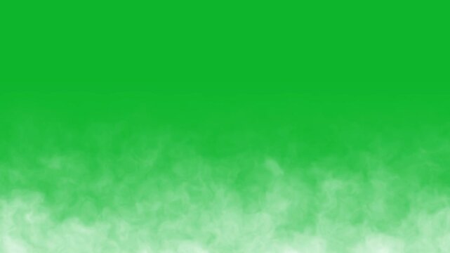 White smoke fog rising on green screen loopable alpha channel, overlay. White smoke slowly moving on a green background.