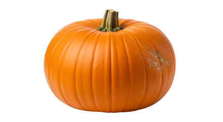 Obraz premium A round, vibrant orange autumn pumpkin with a textured surface, stem, and slight blemishes