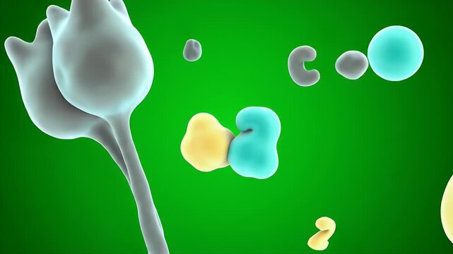 C4 Photosynthesis Process Animation with 3D CGI Detail on Green Screen Background Medical Visualization Explainer