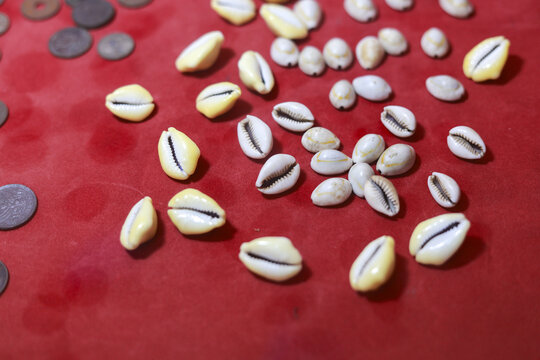 Top view of traditional cowrie shell money scattered on red background. This ancient currency symbolizes wealth, trade, finance, and rich history in African culture
