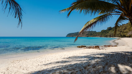 Takhian beach at koh kood thailand on a sunny day with crystal clear waters and palm trees