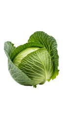 Obraz premium Isolated head of fresh green cabbage, tightly bound leaves, healthy food concept
