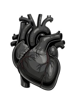 A modern stylized medical illustration of a human heart isolated on a bright white background. The heart is illustrated in a semi-realistic cartoon style with a dominant black body and layered dark gr