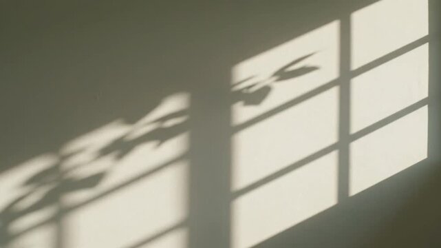 Sunlight Shadow on Wall with Window Frame.