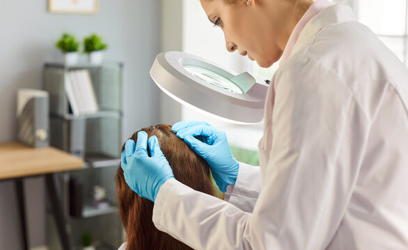 Hair loss diagnosis and treatment, patients hair and scalp examination by doctor under lamp with magnifying glass in hospital. Trichologists hands touch head of woman. Trichology checkup concept