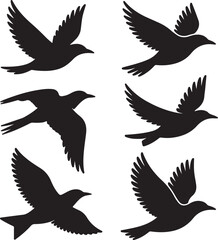 Obraz premium Flying Bird Silhouettes Collection,Black Birds in Motion Silhouette Icons