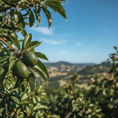Vibrant Avocado Tree Close Up, Lush Green Leaves   Fruit, Professional Agriculture   Healthy Food