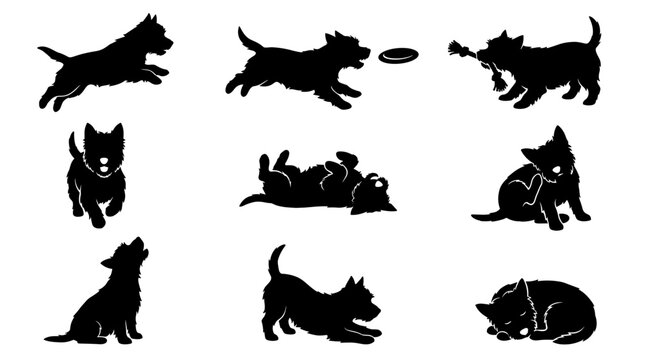 Active Westie dog silhouette vector collection featuring jumping running playing frisbee and sleeping poses isolated on white background