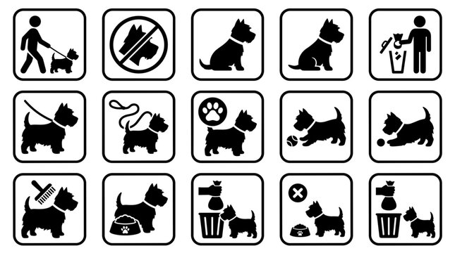 West Highland White Terrier dog public park signs and rules vector pictogram set including leash requirement prohibition cleaning poop and grooming icons