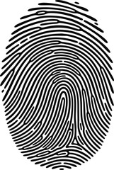 Close-up black and white illustration of a fingerprint for identification and security purposes