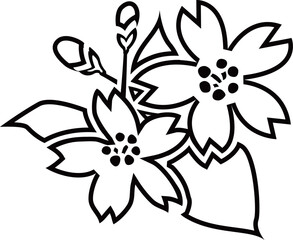 桜の花と葉とつぼみのアウトライン白黒線画イラスト 透明背景