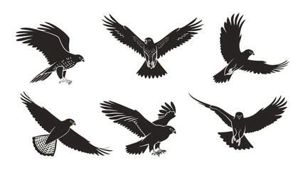 Fototapeta premium Majestic birds of prey in various dynamic flight poses, rendered in bold silhouette style.