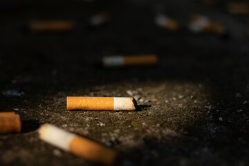 Close-up of discarded cigarette butts on dark ground with a spotlight of natural light highlighting environmental pollution issues © Nguyen Tuan
