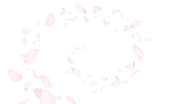 桜_手描き_渦を巻いて舞い上がる花びら_横