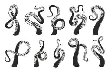 Octopus tentacles tattoo. Kraken or squid monster black and white arms curling upward with suction cups. Vector set of marine creature feeler swirling wraps, suggesting strength, fluidity, mystery © Vector Tradition