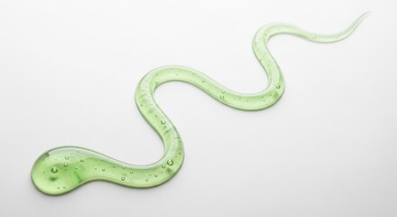 Fototapeta premium A green worm with a wavy body on a white background