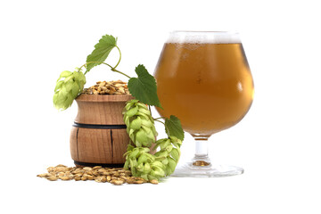 Glass of Fresh Beer With Hops and Barley on a White Background