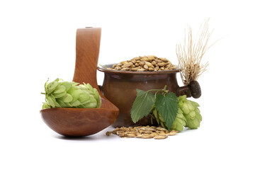 Hops, Barley, and Malt in Wooden Bowls: Rustic Still Life of Craft Beer Ingredients