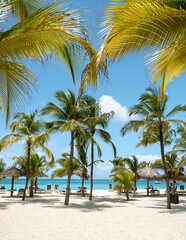 Obraz premium Explore the tranquil beauty of Palm Beach in Aruba under a brilliant blue sky