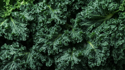 Fresh Kale Leaf Texture Food Photography