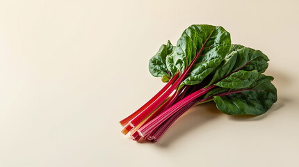 Fresh Swiss Chard Leafy Vegetable Photography
