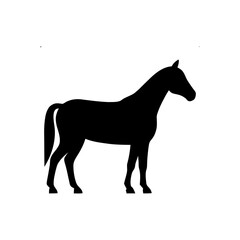 Obraz premium Untitled-12