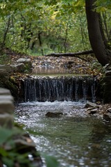Forested stream cascade. Autumnal colors
