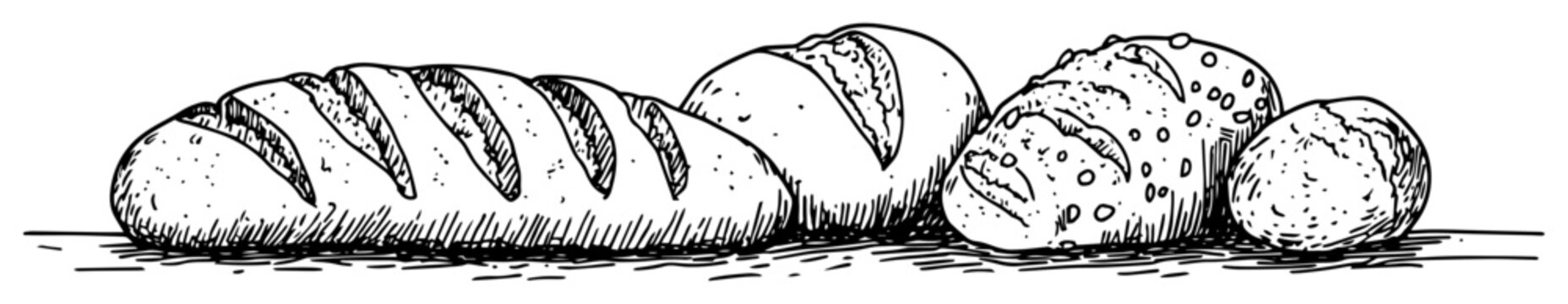 assorted bread loaves hand drawn sketch