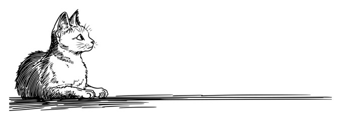 kitten sitting on floor ink drawing © Kaz