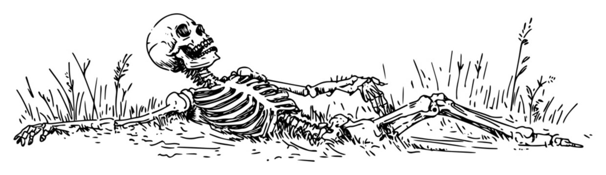 human skeleton lying in grass hand drawn