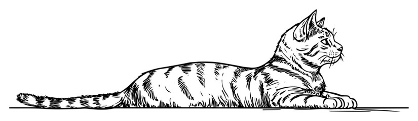 cat lying on ground resting hand drawn style © Kaz