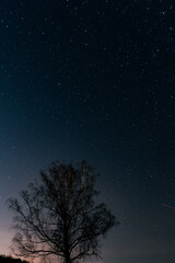 Naklejka premium night sky