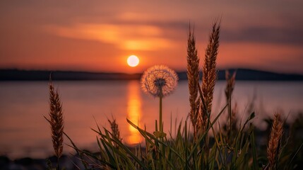A serene sunset scene features a delicate dandelion, silhouetted against a golden sky, with the sun's reflection on the water