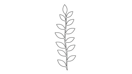 Simple black and white line drawing of a single leaf branch with multiple small oval leaves arranged symmetrically along a central stem.