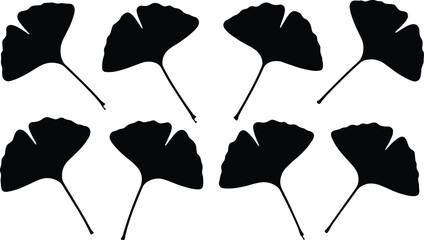Ginkgo leaf silhouette collection featuring natural botanical shapes, herbal foliage elements, minimalist plant design, vector illustration set for nature graphics