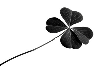 four leaf clover
