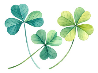 green leaf clover