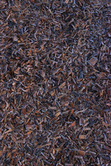 Frost on tanned bark